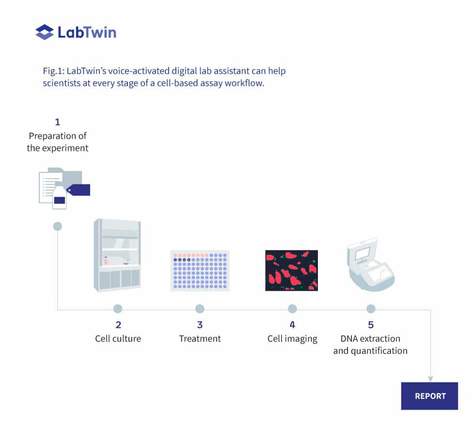 cell-based assay procedure