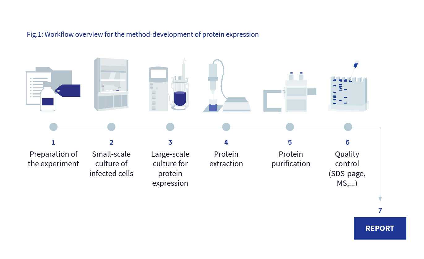 The Lab of the Future - protein extraction with voice